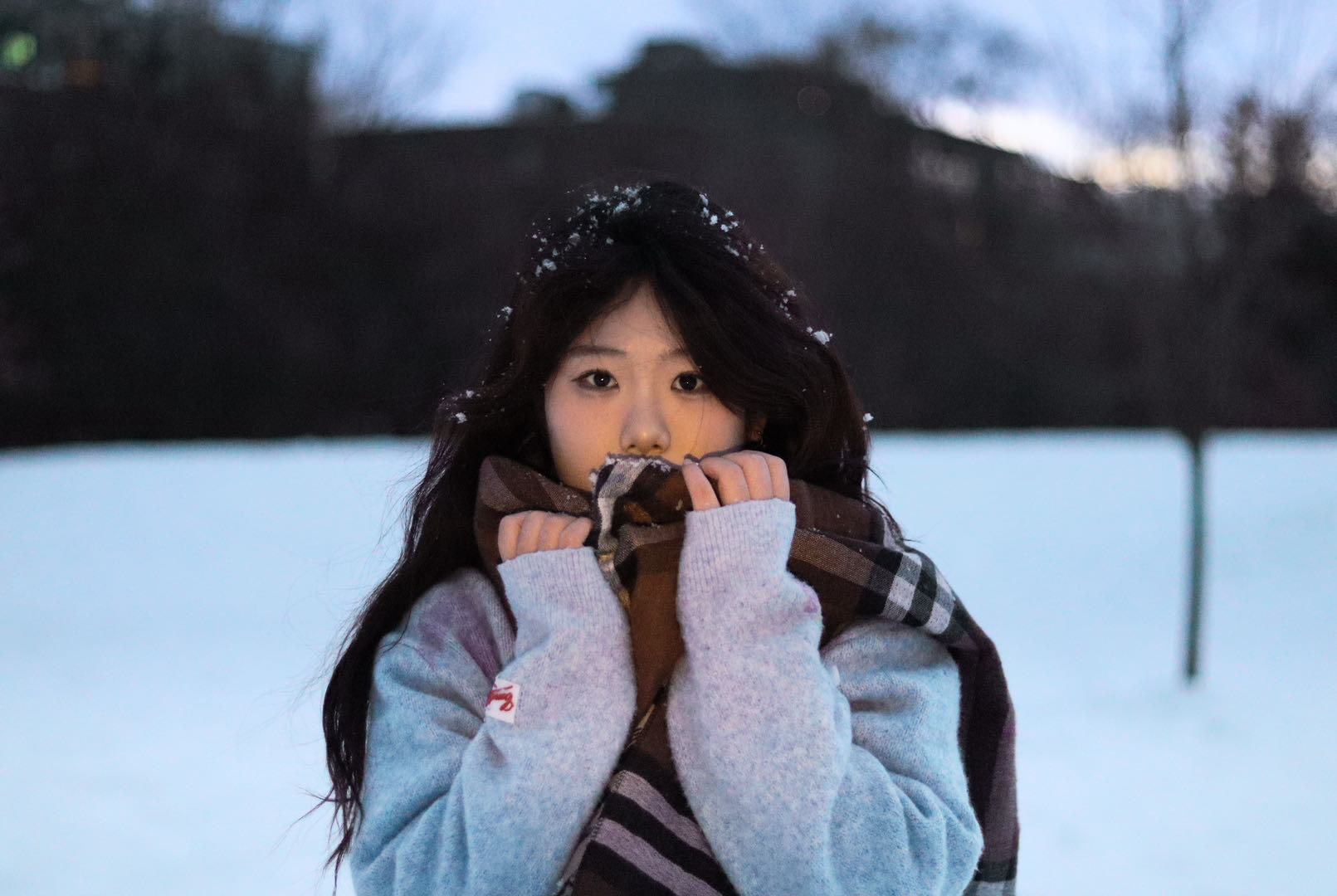 Winter portrait made in blue evening light in Ottawa